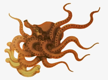 Kraken Icon , Png Download - Octopus, Transparent Png, Free Download
