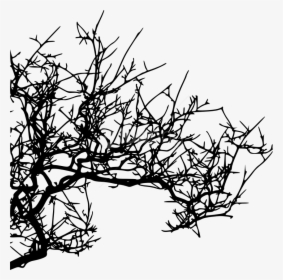 Free Png Tree Branch Png Images Transparent - Tree Branch Png Hd Texture, Png Download, Free Download