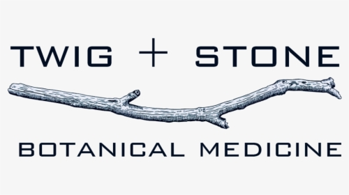 Twig Png, Transparent Png, Free Download