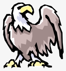 Vector Illustration Of American Bald Eagle National, HD Png Download, Free Download