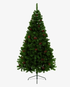 Fir Tree Png Free Download - Christmas Tree Home Depot, Transparent Png, Free Download
