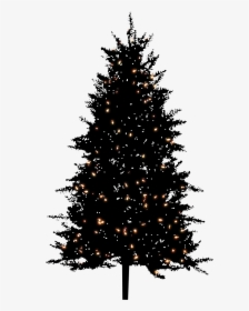 Thumb Image - Black Christmas Tree Png, Transparent Png, Free Download