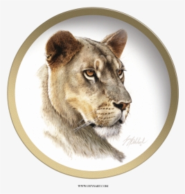Lioness Head Plate Collectable Plate By Guy Coheleach - Lioness Head, HD Png Download, Free Download