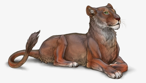 Ocyungi - Dark Colored Lioness, HD Png Download, Free Download