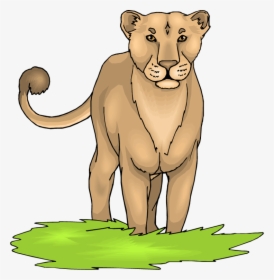 Free Head Lioness Clipart, HD Png Download, Free Download