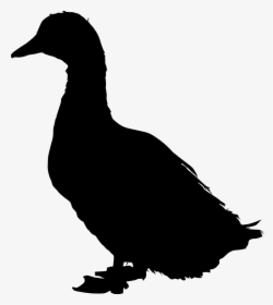 American Pekin Duck Mallard Bird Silhouette - Duck Silhouette Png, Transparent Png, Free Download