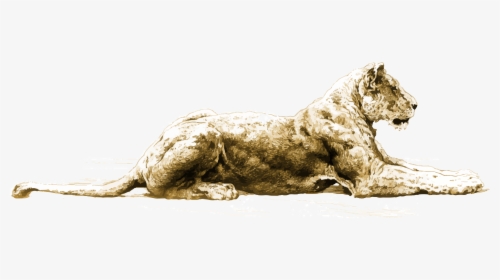 Lioness - Hippopotamus, HD Png Download, Free Download