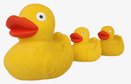Rubber Ducks , Png Download - Real Rubber Duck Family Yellow, Transparent Png, Free Download