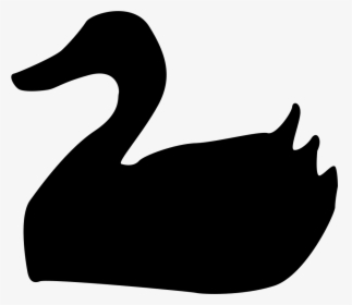 Duck, HD Png Download, Free Download