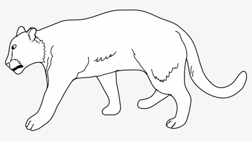 Lioness Cartoon - Clip Art, HD Png Download, Free Download