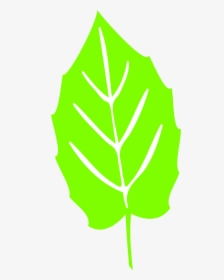 Leaf Icon - Vector Folha Png, Transparent Png, Free Download