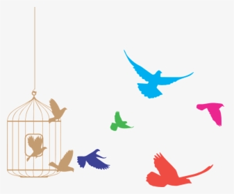 Birds Flying Out Of Cage, HD Png Download, Free Download