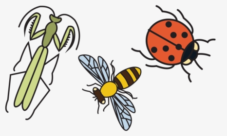 Good Bugs 2, HD Png Download, Free Download