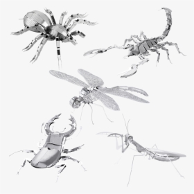 Metal Earth Bugs, HD Png Download, Free Download