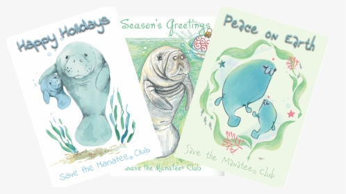 Manatee Holiday Cards - Manatee, HD Png Download, Free Download