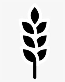 Plant,flower,leaf - Clip Art, HD Png Download, Free Download