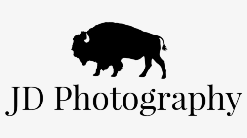 Jd Photography Logo Black, HD Png Download, Free Download