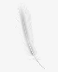Transparent Quill Pen Clipart - White Feather Png, Png Download, Free Download