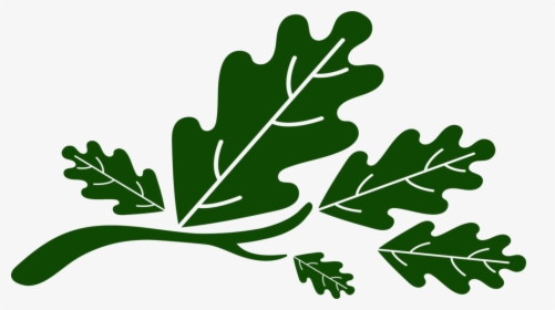 Five Oaks Leaves, HD Png Download, Free Download