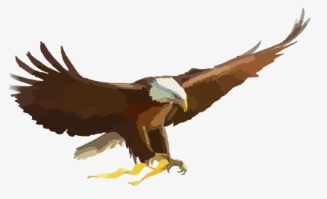 Eagle Cartoon Png, Transparent Png, Free Download