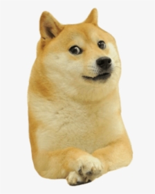 Lil Doge Png, Transparent Png, Free Download