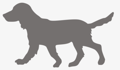 Doggo Png, Transparent Png, Free Download