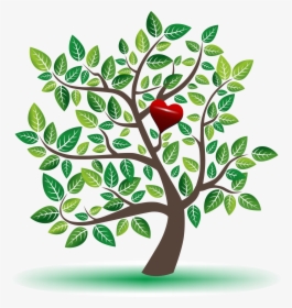 Arbol Png , Png Download - Tree With Leaf Vector, Transparent Png, Free Download