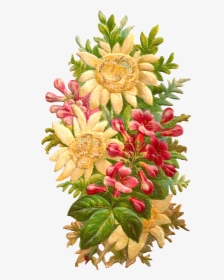 Transparent Flower Graphic Png - Protea Family, Png Download, Free Download