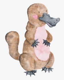 This Graphics Is Hand Drawn Platypus Transparent Animal - Australian Platypus Clipart, HD Png Download, Free Download