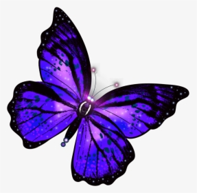 Purple Glowing Butterfly, HD Png Download, Free Download