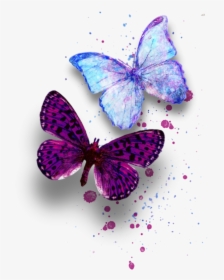Image Du Blog Zezete2 - Butterfly Mariposa Png, Transparent Png, Free Download