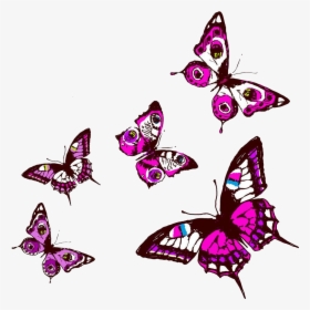 Insect Clipart Purple - Butterfly For Illustrator, HD Png Download, Free Download