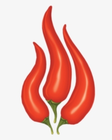 Five Crazy Chilli Facts Little Chilli Shop - Chili Pepper, HD Png Download, Free Download