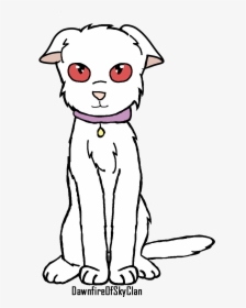 Windsplash&#039 - S Wiki - Domestic Short-haired Cat, HD Png Download, Free Download