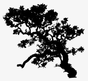 Clipart Tree Silhouette Graphic Black And White Stock, HD Png Download, Free Download