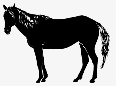 Transparent Cavalo Png - Sombra Cavalo Png, Png Download, Free Download