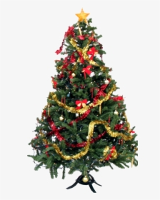 Christmas Tree Decorations Png, Transparent Png, Free Download