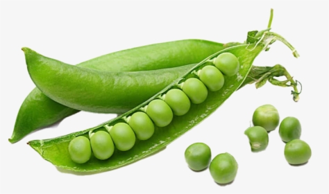 Green Beans Transparent - Pea Peptide, HD Png Download, Free Download