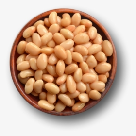 Great Northern Bean, HD Png Download, Free Download