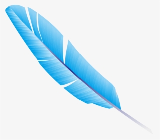 Feather Drawing PNG Images, Free Transparent Feather Drawing Download -  KindPNG