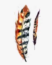 Feather Paper Illustration Painted - Invertebrate, HD Png Download, Free Download