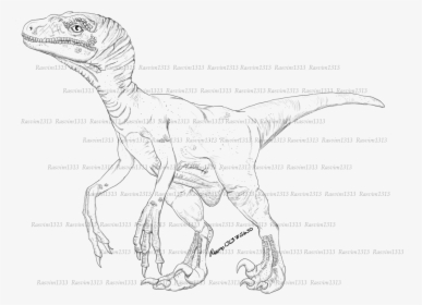 Sketch , Png Download - Velociraptor, Transparent Png, Free Download