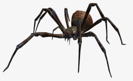Villains Wiki - Eight Legged Freaks Queen Spider, HD Png Download, Free Download