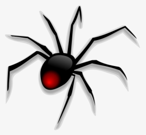 Scary Spider Cartoon, HD Png Download, Free Download