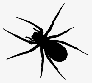 Spider-man Clip Art - Black Spiders Png, Transparent Png, Free Download