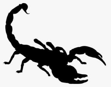 Scorpion Clipart, HD Png Download, Free Download