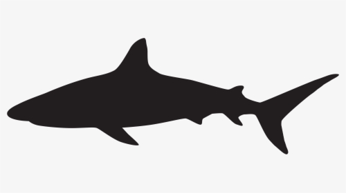 Shark Silhouette Png Clip Art Image - Great White Shark Silhouette, Transparent Png, Free Download