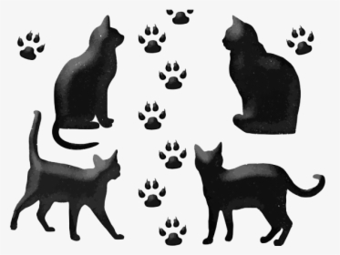 Black Cat Euclidean Vector Drawing - Imagen De Un Gato Negro En Caricatura, HD Png Download, Free Download