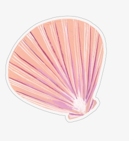 Seashell - Earrings, HD Png Download, Free Download