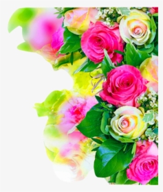 Colorful, Rose, Wedding Flower ,flower, Watercolor, - Rose Flower Background Hd, HD Png Download, Free Download